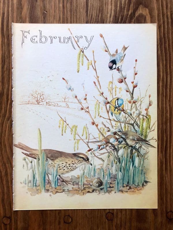 February - Nature Notes of an Edwardian Lady - Book Page