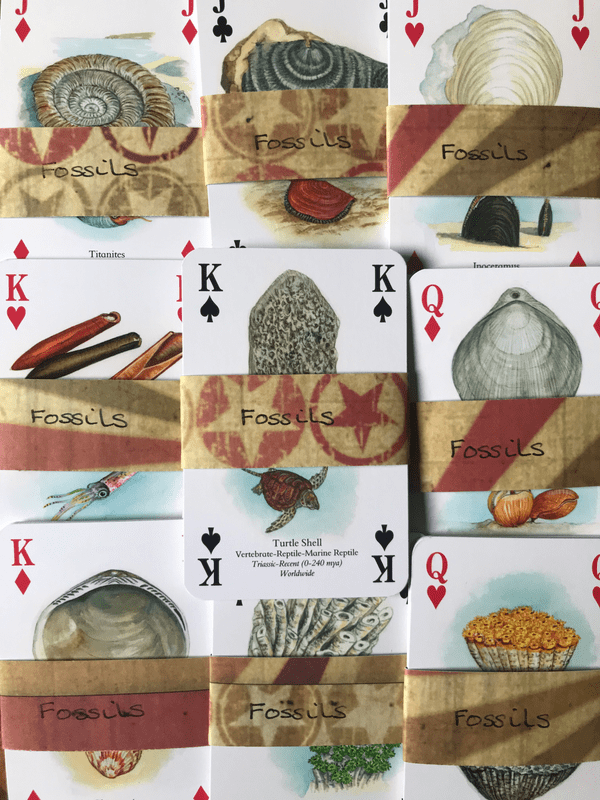 Fossils - 5 Playing Cards