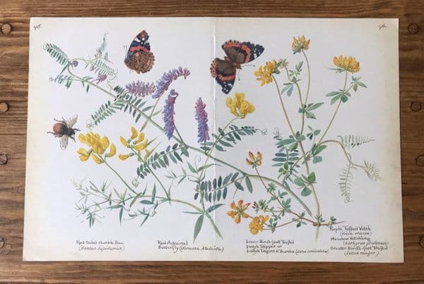 HumbleBee- Country Diary of an Edwardian Lady - Book Page