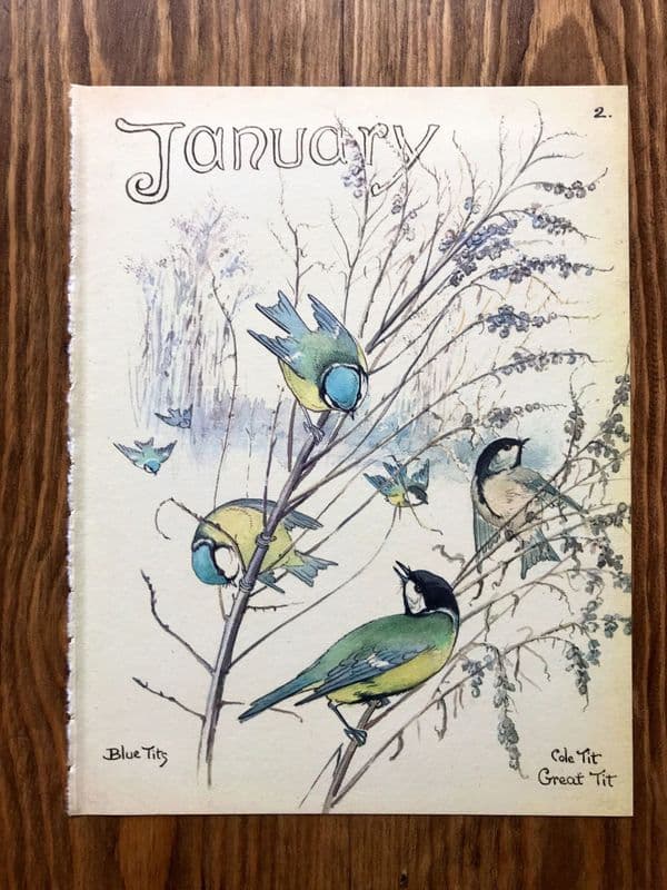 January - Country Diary of an Edwardian Lady - Book Page