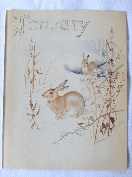 January - Nature Notes of an Edwardian Lady - Book Page