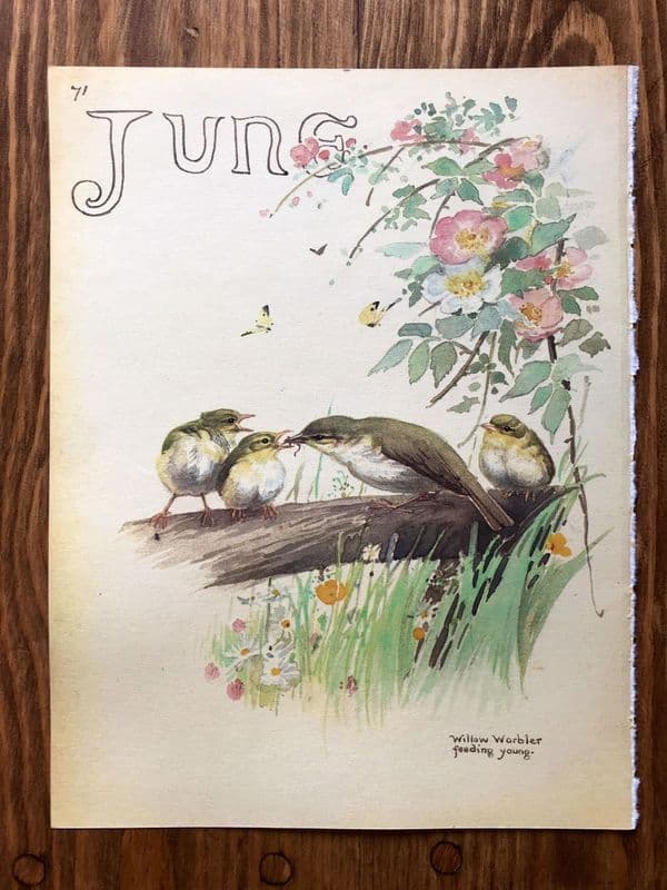 June - Country Diary of an Edwardian Lady - Book Page