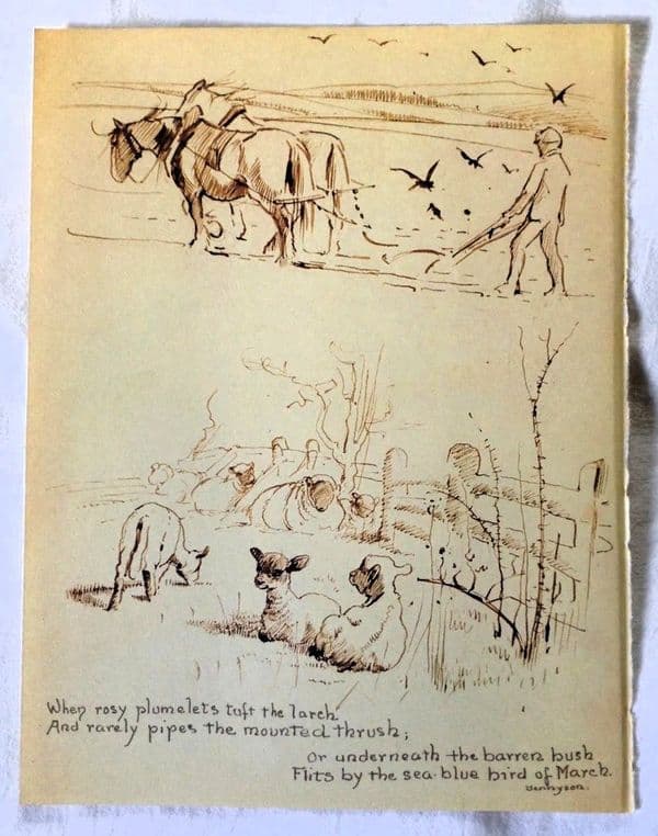 March - Nature Notes of an Edwardian Lady - Book Page