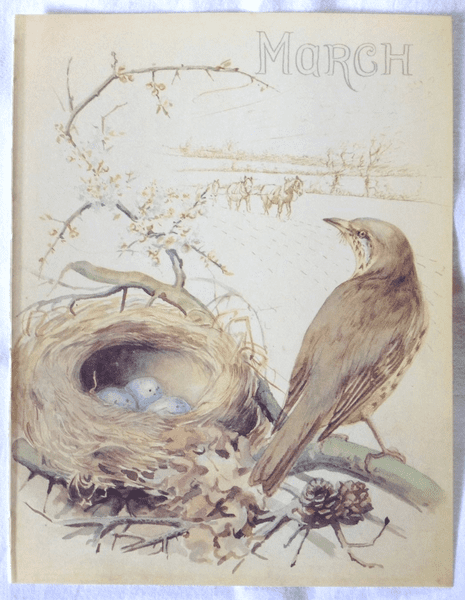 March - Nature Notes of an Edwardian Lady - Book Page