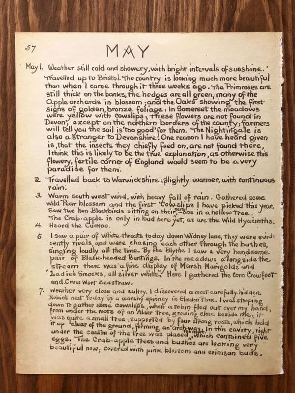 May - Country Diary of an Edwardian Lady - Book Page -