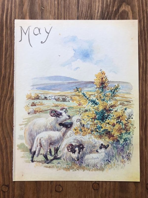 May - Nature Notes of an Edwardian Lady - Book Page