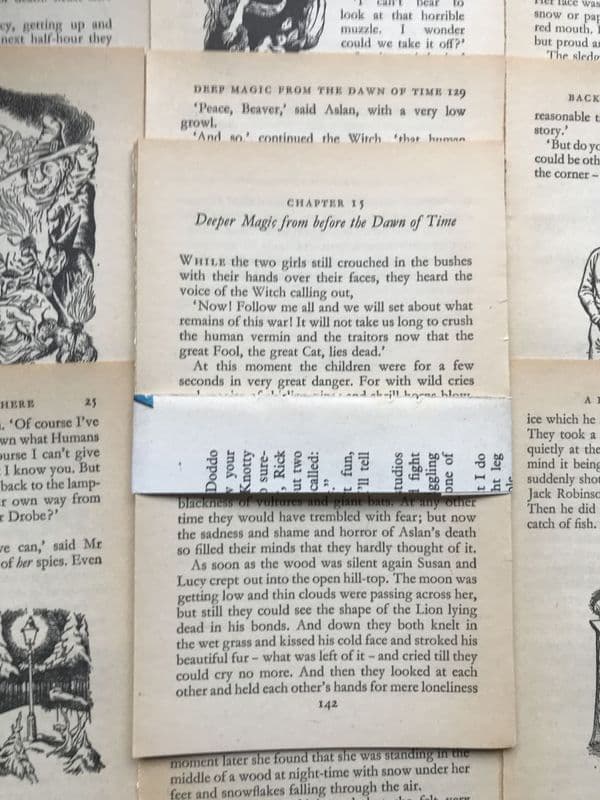 Narnia-10 Book Pages