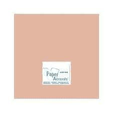 Paper Accents 12 x 12 Iced Cocoa