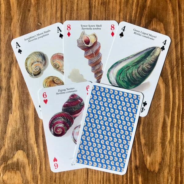 Seashells - 5 Playing Cards