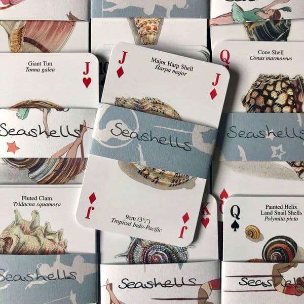 Seashells - 5 Playing Cards