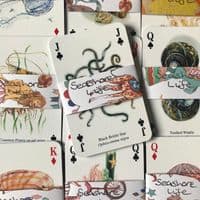 Seashore Life - 5 Playing Cards