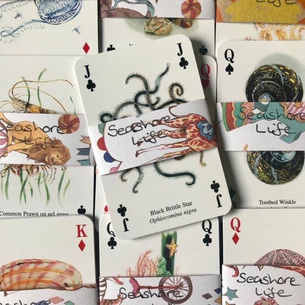 Seashore Life - 5 Playing Cards