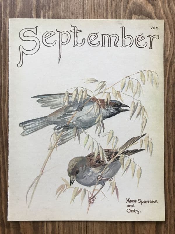 September - Country Diary of an Edwardian Lady - Book Page