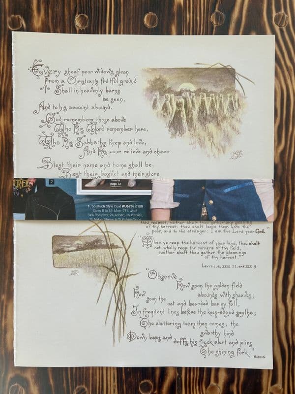 The Seasons -  5 Book Pages