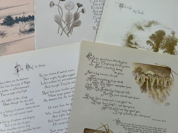 The Seasons -  5 Book Pages