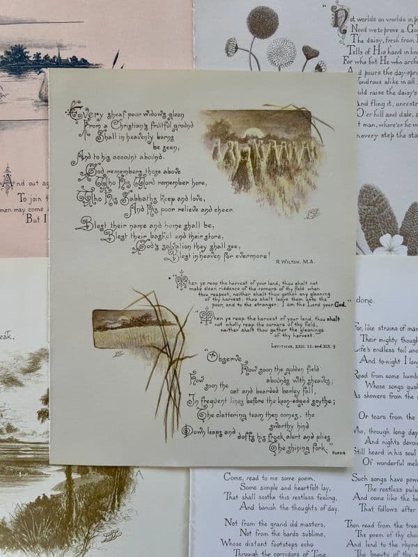 The Seasons -  5 Book Pages