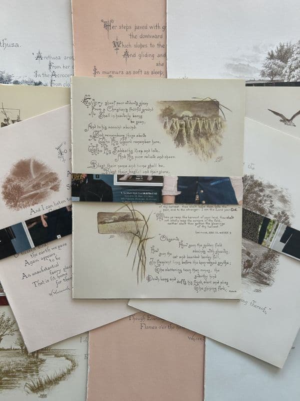 The Seasons - 5 Book Pages