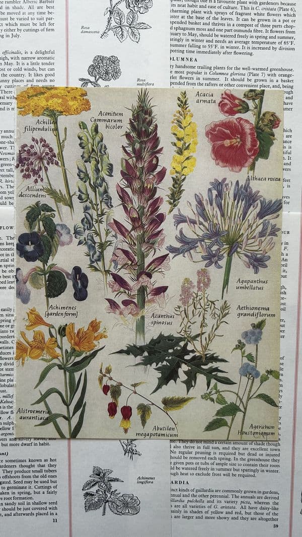 Treasury of Flowers & Plants - 5 Book Pages