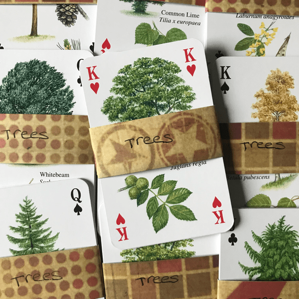 Trees - 5 Playing Cards