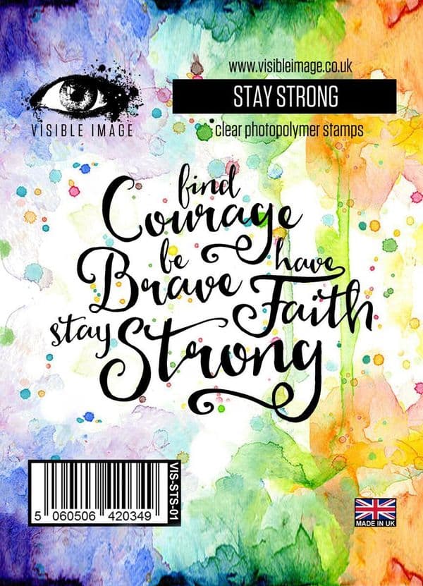 Visible Image Stay Strong