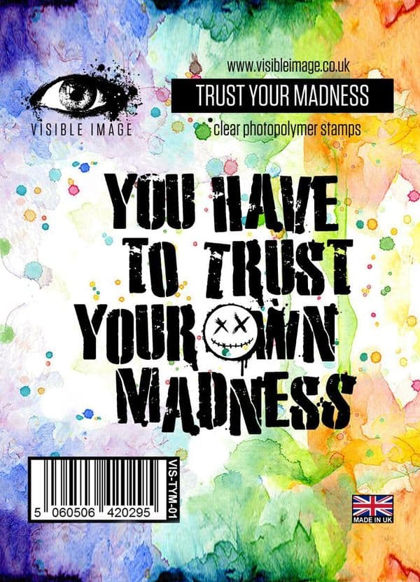 Visible Image Trust Your Madness