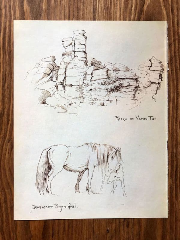 Wrens Nest - Country Diary of an Edwardian Lady - Book Page
