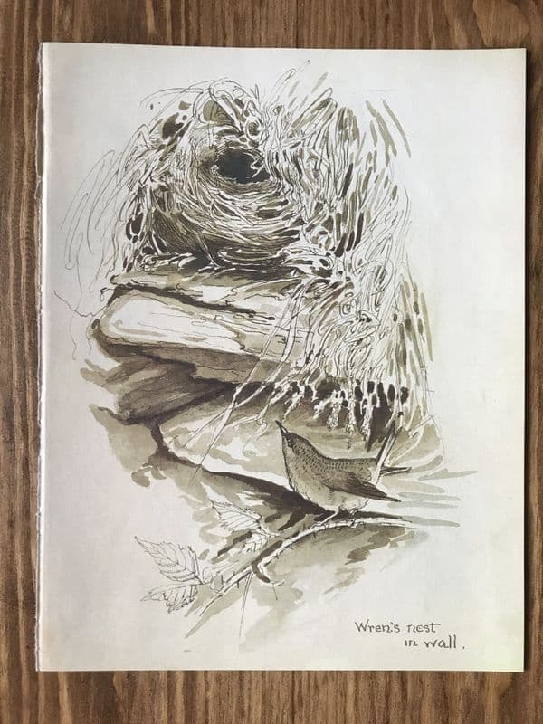 Wrens Nest - Country Diary of an Edwardian Lady - Book Page