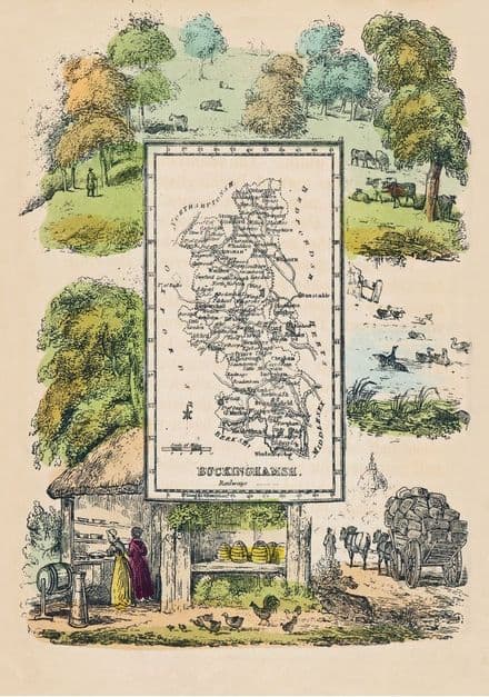 Buckinghamshire - by 'Reuben Ramble' - Reproduction County Map