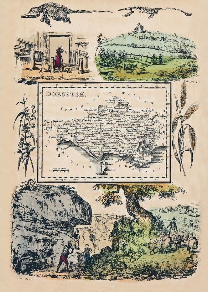 Dorset - by 'Reuben Ramble' - Reproduction County Map