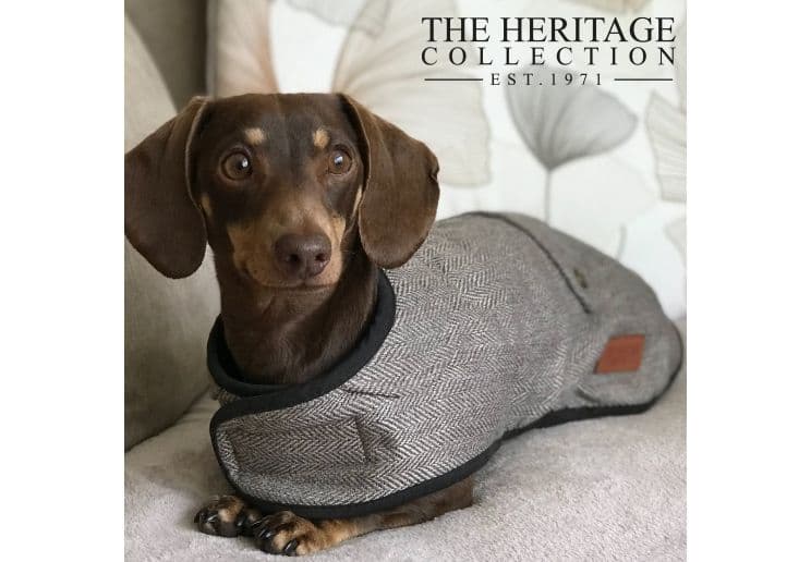 Heritage Brown Herringbone Dog Coat