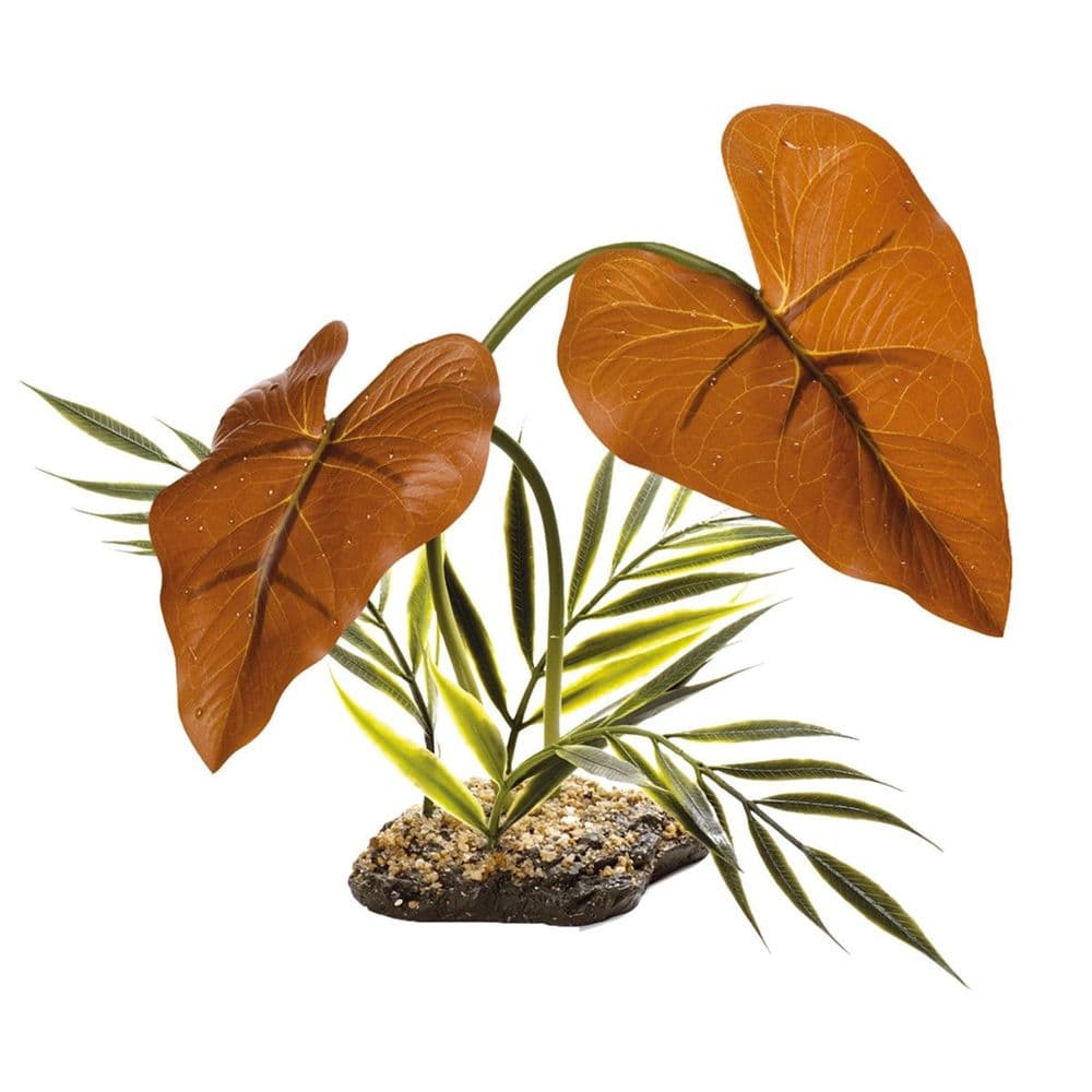 KOMODO RAINFOREST CANOPY 38CM