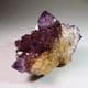'CACTUS QUARTZ' - variety amethyst - South Africa