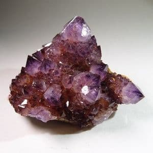'CACTUS QUARTZ' - variety amethyst - South Africa