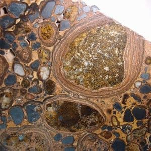 'ONCOLITIC' IRONSTONE WITH MAGNETITE CRYSTALS  - Zimbabwe