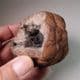 'POTATO-STONE' GEODE-  Somerset