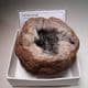 'POTATO-STONE' GEODE-  Somerset