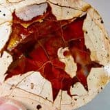 'THUNDER EGG' - Australia