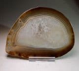 AGATE (CUT AND POLISHED SLICE)  -    Brazil