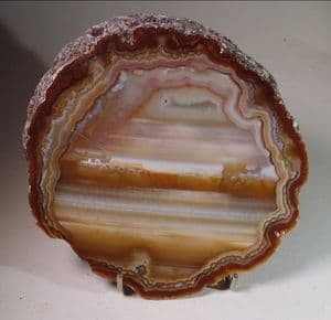 AGATE (CUT AND POLISHED THICK SLICE) - Brazil