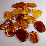 AMBER (POLISHED PIECE) - 40 million years old - Baltic