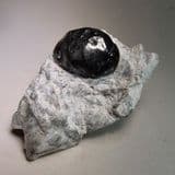 APACHE TEAR - Arizona, USA