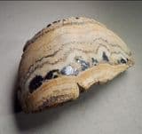 BARITE AND GALENA (SECTION THROUGH A LEAD VEIN) - Derbyshire