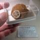 BARITE CRYSTALS   - Isle of Sheppey, Kent