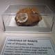 BARITE CRYSTALS   - Isle of Sheppey, Kent