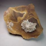 BARITE CRYSTALS - Isle of Sheppey, Kent