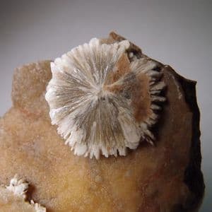 BARITE CRYSTALS   - Isle of Sheppey, Kent