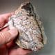 BARYTOCELESTINE AND CALCITE (UNPOLISHED)  -  Gloucestershire
