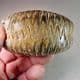 BIZARRE CRETACEOUS FOSSIL OYSTER -  95 million years old - Madagascar