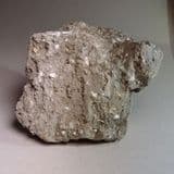 BOULDER CLAY (TILL)  -  450,000 years old  - Braintree, Essex