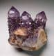 CACTUS QUARTZ (AMETHYST) -  South Africa